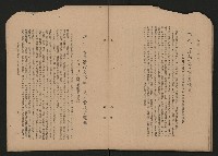 《彈指一年集》
（高雄市政叢書一）藏品圖，第41張