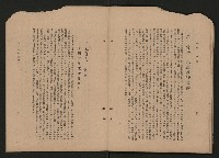 《彈指一年集》
（高雄市政叢書一）藏品圖，第43張