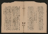 《彈指一年集》
（高雄市政叢書一）藏品圖，第58張