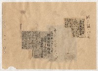 高雄市長謝掙強出巡、活動、講演剪報資料藏品圖，第18張