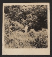 高雄市長謝掙強市政影像（相冊）藏品圖，第40張