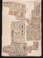 第七屆高雄市長選舉剪報集藏品圖，第24張