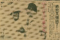 〈終於又碰頭了！〉（剪報）（李文雄攝）藏品圖，第1張