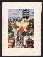 《高雄市政》高雄市六十年度防颱保防宣傳特輯藏品圖，第17張