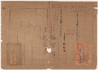 謝掙強高雄市戶口普查處主任之派令藏品圖，第1張