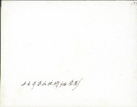 謝掙強、土耳其反共領袖、陳武璋合影藏品圖，第2張