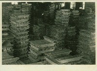 個人、建築及風景照相冊藏品圖，第104張