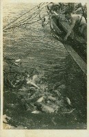 個人、建築及風景照相冊藏品圖，第112張