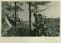 個人、建築及風景照相冊藏品圖，第142張