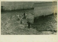 個人、建築及風景照相冊藏品圖，第155張