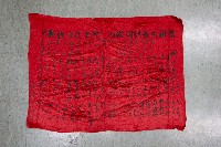 謝掙強為政時期受贈之錦旗藏品圖，第76張