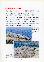 台灣水泥股份有限公司-大崗廠建廠說明會議補充資料藏品圖，第11張