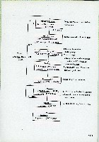 台灣水泥公司-和平石礦簡介藏品圖，第12張