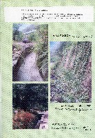 台灣水泥公司-和平石礦簡介藏品圖，第33張