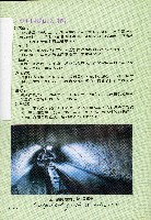 台灣水泥公司-和平石礦簡介藏品圖，第37張