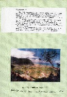 台灣水泥公司-和平石礦簡介藏品圖，第40張