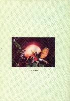 台灣水泥公司-和平石礦簡介藏品圖，第49張