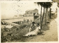 台泥員工壽山合照藏品圖，第1張