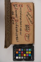 皮影戲劇本-《征交趾第一本》藏品圖，第64張