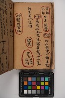 皮影戲劇本-《征交趾第四本》藏品圖，第64張