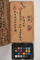 皮影戲劇本-《征交趾第五本》藏品圖，第10張