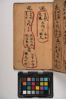 皮影戲劇本-《征交趾第五本》藏品圖，第13張