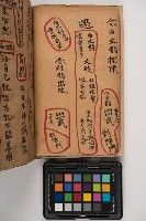 皮影戲劇本-《征交趾第五本》藏品圖，第16張