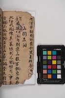 皮影戲劇本-《秦大遊》（清代本）藏品圖，第10張