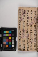 皮影戲劇本-《秦大遊》（清代本）藏品圖，第49張