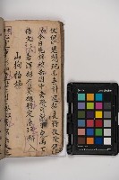 皮影戲劇本-《秦大遊》（清代本）藏品圖，第110張