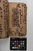 皮影戲劇本-《玉蓮寺全本》藏品圖，第10張