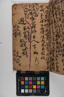 皮影戲劇本-《玉蓮寺全本》藏品圖，第25張