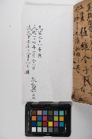 皮影戲劇本-《玉蓮寺全本》藏品圖，第43張