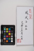 皮影戲劇本-《樊梨花征西》藏品圖，第3張