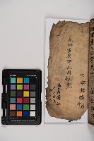 皮影戲劇本-《樊梨花征西》藏品圖，第55張