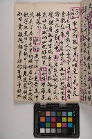 皮影戲劇本-《高良德全本》藏品圖，第13張