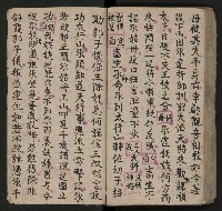 皮影戲劇本《唐明皇遊月宮 第四冊》藏品圖，第64張