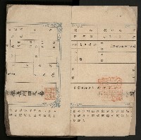 皮影戲劇本《飛鵝洞白荔枝》藏品圖，第5張