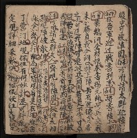 皮影戲劇本《飛鵝洞白荔枝》藏品圖，第12張