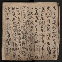 皮影戲劇本《飛鵝洞白荔枝》藏品圖，第15張
