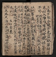 皮影戲劇本《飛鵝洞白荔枝》藏品圖，第19張