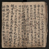 皮影戲劇本《飛鵝洞白荔枝》藏品圖，第20張