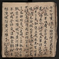 皮影戲劇本《飛鵝洞白荔枝》藏品圖，第21張