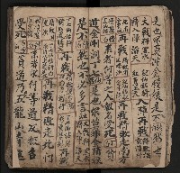 皮影戲劇本《飛鵝洞白荔枝》藏品圖，第30張