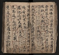 皮影戲劇本《飛鵝洞白荔枝》藏品圖，第31張