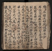 皮影戲劇本《飛鵝洞白荔枝》藏品圖，第33張