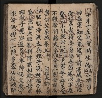 皮影戲劇本《飛鵝洞白荔枝》藏品圖，第37張