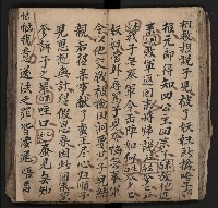 皮影戲劇本《飛鵝洞白荔枝》藏品圖，第38張