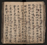 皮影戲劇本《飛鵝洞白荔枝》藏品圖，第39張