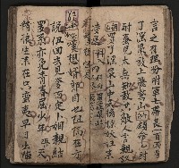 皮影戲劇本《飛鵝洞白荔枝》藏品圖，第41張